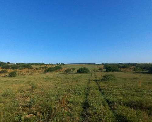Campo Mixto de 1050 Hectareas
