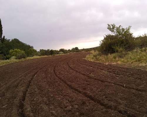 Campo Ganadero Mixto Cordoba