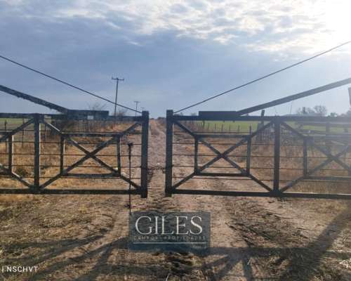 Campo Mixto 720 Hectáreas