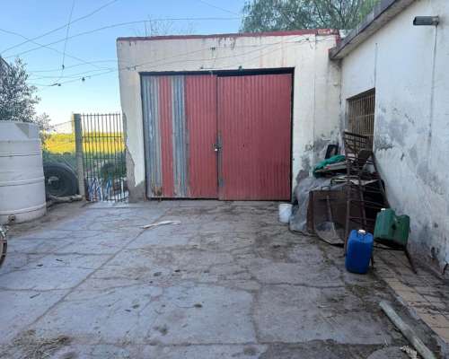 Finca 5.5 Ha con D° de Riego, Junin, Mendoza