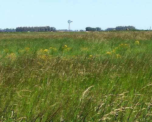 Vendo Germania Provincia de Buenos Aires