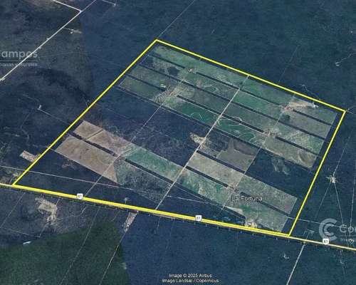 Campo en 4000 HA. Ganadero, Armado, con Todas las Intalacion