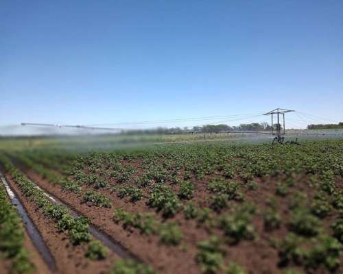 2 Motores de Riego con Cabezal y ALA