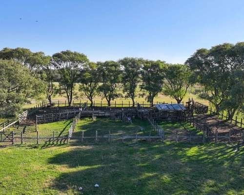 Pcia. de Entre Rios - San Jose de Feliciano 1960 Ha