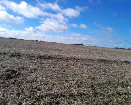 Vdo 305 Has Soja, Maíz Zona Ruta 205 del Valle 7.000 X Ha