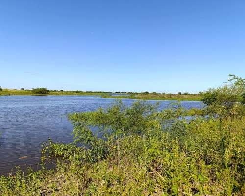 Isla Ganadera 56 Ha en Venta – Alejandra, Santa FE