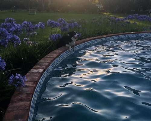 Casco de Campo Ecuestre Ideal para Haras