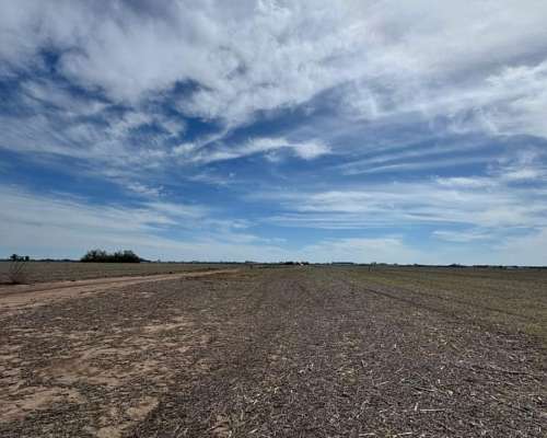 Campo Mixto 231 Hectáreas