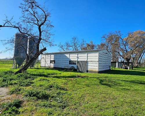 71 Has. Campo Agrícola con Mejoras y Arboleda en Torres