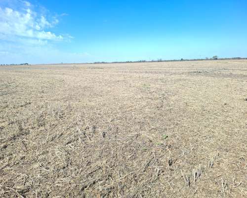 33 Ha SE Venden en Zona de Pilar( Santa FE)