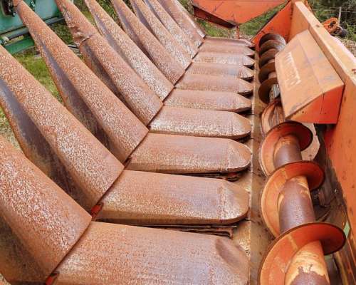 Mainero de 11 Surcos