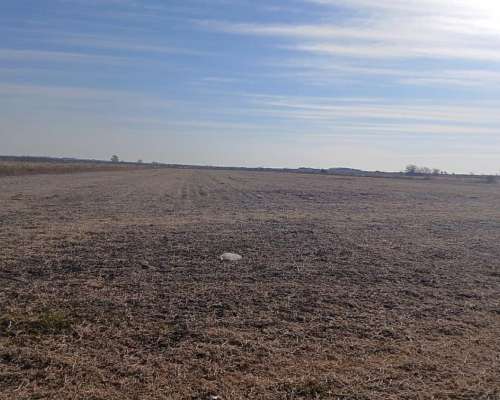 107 Ha Agrícolas. muy Buen Campo. Nogoyá