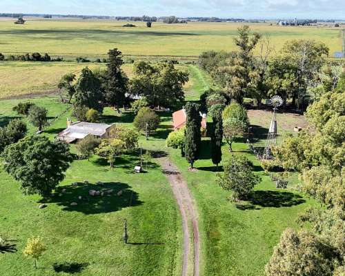Campo Productivo de 67 Ha en Venta en Baradero Sobre Ruta