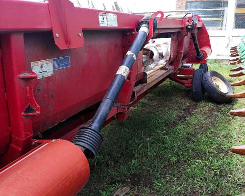 Mainero 2008 - 14 a 52 CM. año 2018