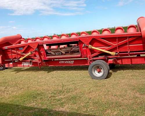 Maicero Ombu 2008 13/52