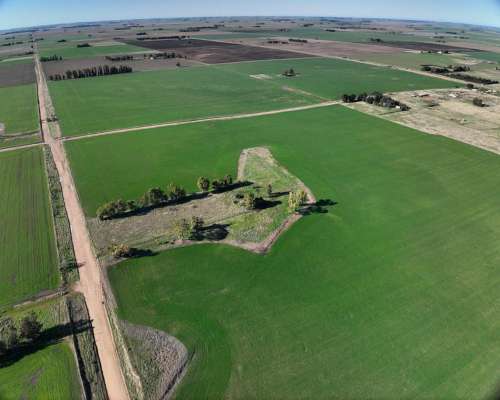 Tres Arroyos, Buenos Aires - 120 Ha