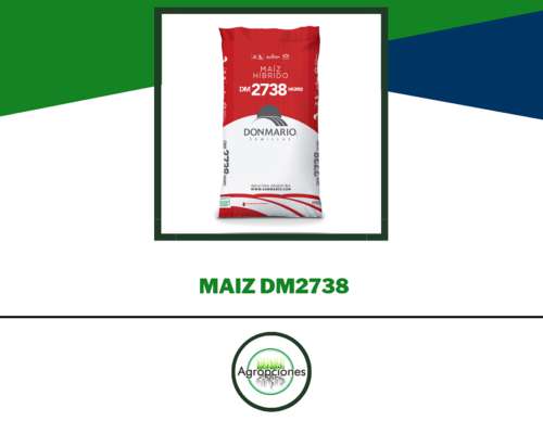 Semilla de Maiz DM2738