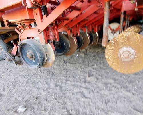 Crucianelli 14 Líneas a 52cm