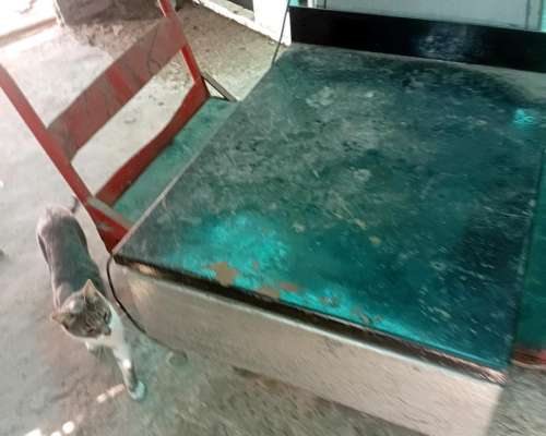 Báscula de 2000 Kilos