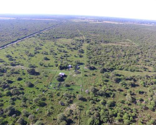 Campo Ganadero en Venta - 118 Has- Bovril, Dpto la PAZ