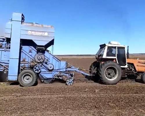 Tractor Zanello 220 M - Excelente Estado y Mecánica.-