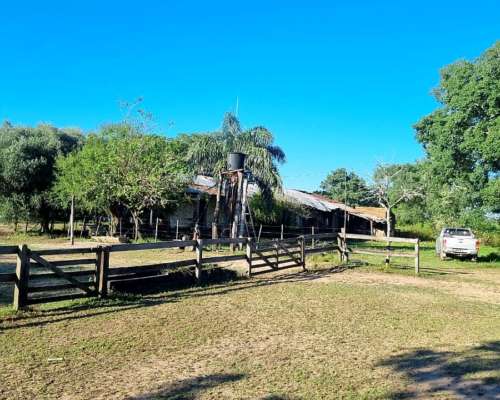 Campo Ganadero 2780 Has Gral San Martin a 23 KM.