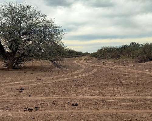 13.400 Ha Costa de Rio, Limay Mahuida, Venta/arriendo