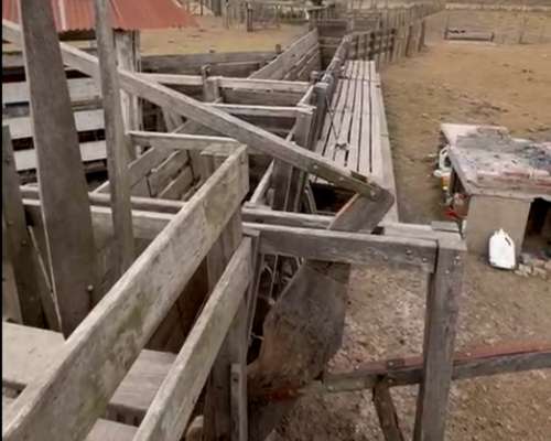 Venta Campo 2.338 Has. Zona Tostado, Santa FE