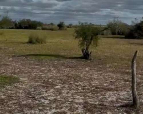 Campo Monte Lucas Norte