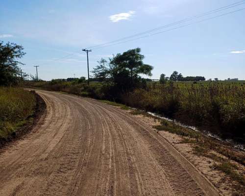 Campo 9 de Julio 880 Has