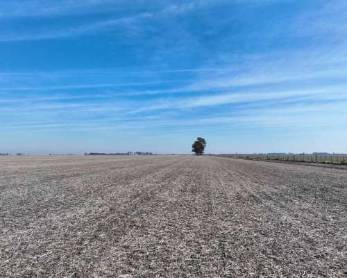 Pcia. de Cordoba - Saturnino M. Laspiur 1336 Has