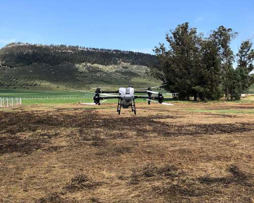 Drone DJI Agras T5o. Siembra, Fumiga y Fertiliza