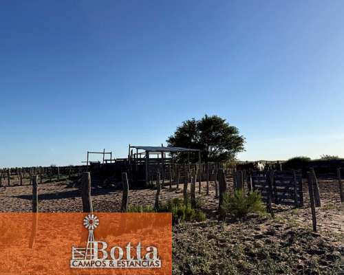 11000has en Venta en Santa Isabel, la Pampa