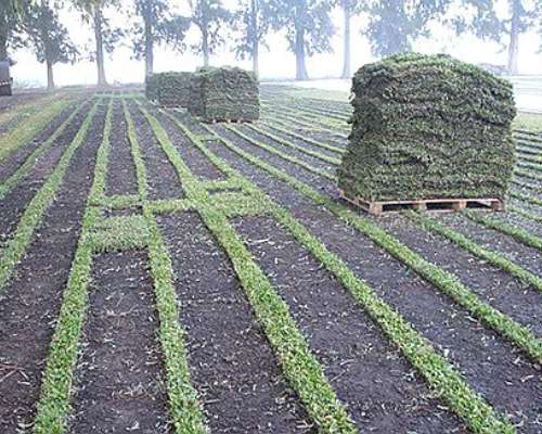 Encargado de Producción - Vicente Casares (bs.as.)