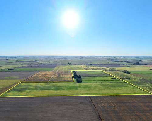 67ha Pergamino Buenos Aires