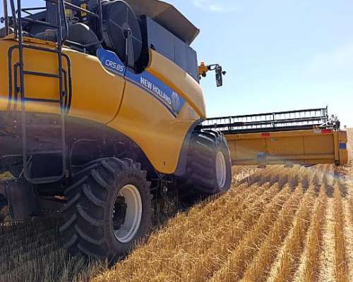 Cosechadora New Holland CR 5.85 Impecable
