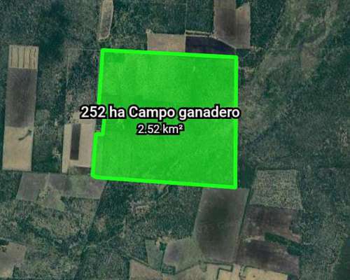 260 HA. Buen Campo Ganadero. Dpto Paraná