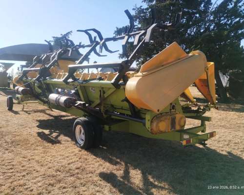 Maicero Allochis 14 a 52 cm con Molinete año 2014