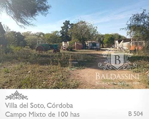 Campo Mixto - Villa del Soto - Córdoba - 100 Has
