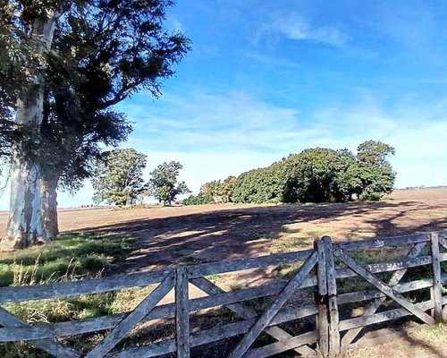 Campo Agrícola-ganadero de 25 Ha en Villa Mugueta