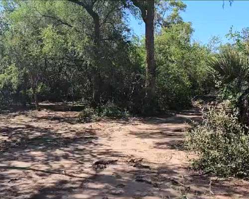 220ha en Miraflores, Chaco