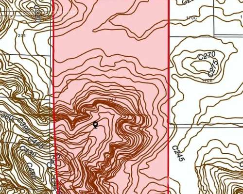 Se Vende. Campo Jardín América. de 306 Ha en SU Mayoria Mont