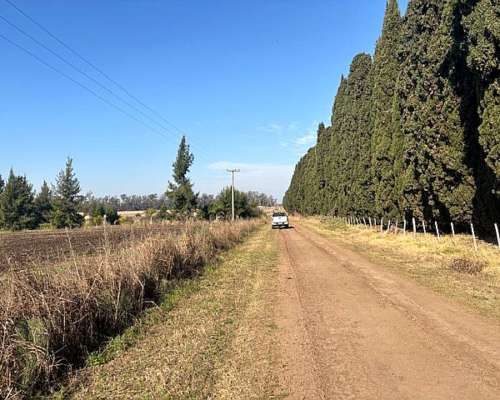 Campo de 2,5 Has en San Pedro Buenos Aires