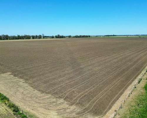 250 Has Huinca Renanco