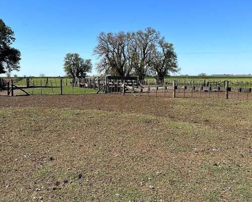 Campo Mixto en Venta