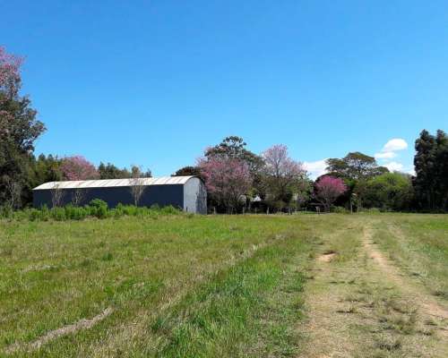 Loreto, San Miguel, Corrientes - 1.072 Ha