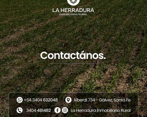 Santa Clara de Buena Vista 73 Has. Campo en Venta