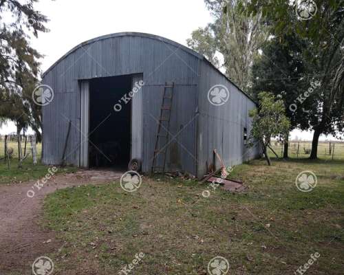 Campo en Venta de 227 Has en Ranchos. Mixto