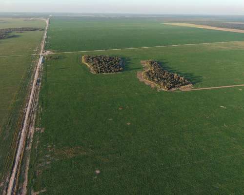 Tobas, Juan Felipe Ibarra, Santiago del Estero - 3.580 Ha