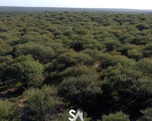 Vende: Campo Mixto de 681 Hectáreas en Naicó, la Pampa